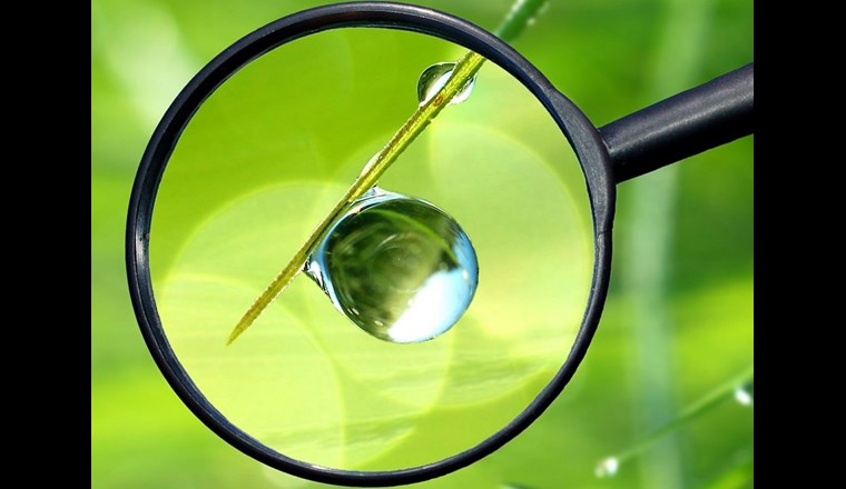 © vencavolrab78/123rf.com