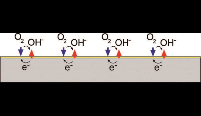Stark reduzierte Korrosionsgeschwindigkeit des Stahls (grau) durch die Bildung einer festhaftenden Magnetitschicht (gelb). Die Reduktionsreaktionen (blaue Pfeile) und die Korrosionsreaktion des Stahls (rote Pfeile) werden dadurch vernachlässigbar klein.