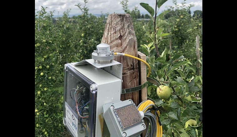 Das oberste Ziel von Smart Water ist die Transparenz über den Wasserhaushalt. (Bild: OST)