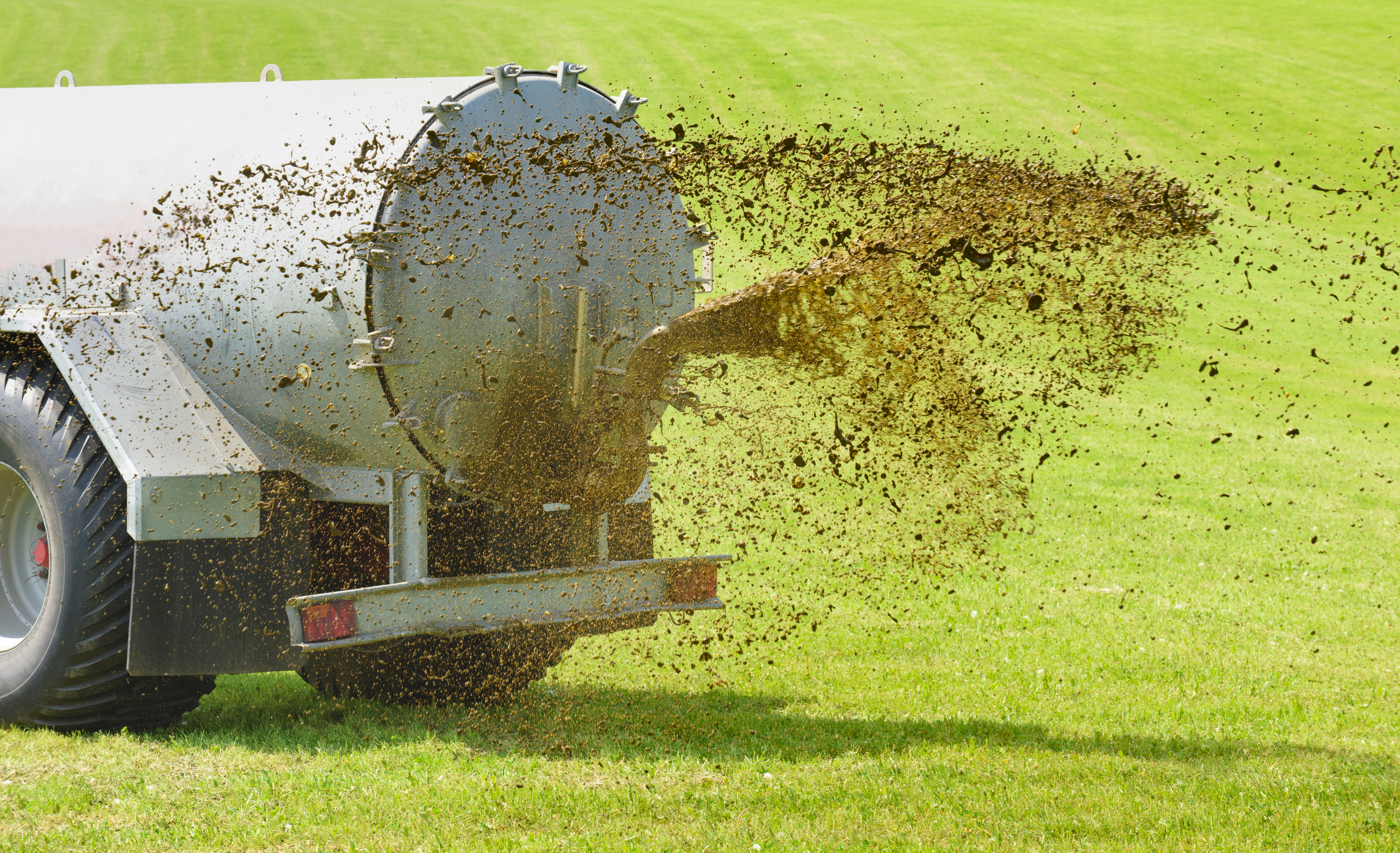 (Foto: AdobeStock / Wolfilser)