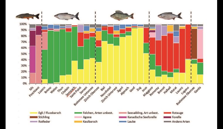 Fig. 9 Vergleich der relativen Häufigkeit einzelner Arten [14], die in den verschiedenen Seen in Vertikalnetzen gefangen wurden. Die Daten sind volumenkorrigiert [15], um zwischen den Seen besser vergleichen zu können.