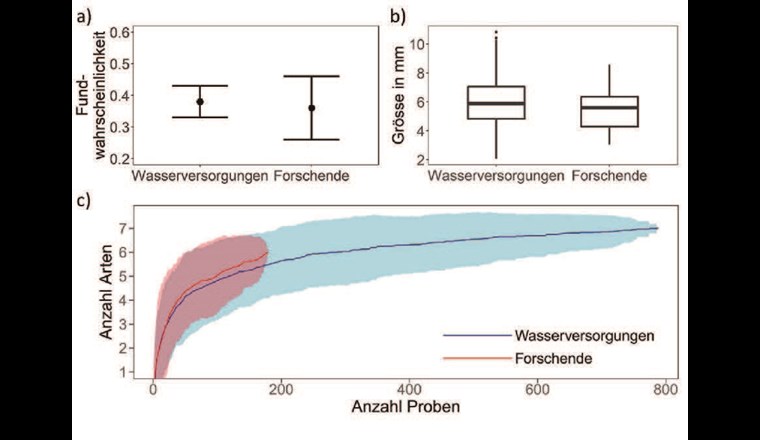 Fig. 4 a) Fundwahrscheinlichkeit für Wasserversorgungen und Forschende. Der Punkt repräsentiert die Schätzung des Modells, schwarze Linien zeigen das 95%-Vertrauensintervall. b) Grössenverteilung der von Wasserversorgungen und Forschenden gefundenen Grundwasserflohkrebsen. Die mittlere, dicke Linie repräsentiert den Median, in der Box (schwarz umrandet) kommen 50% der Daten zu liegen, und die vertikalen Linien zeigen den Bereich ohne Ausreisser. c) Artakkumulationskurve für Wasserversorgungen und Forschende. Die Linien geben mittlere Schätzwerte der Anzahl gefundenen Arten in Abhängigkeit der Anzahl Probenahmen (blau: Wasserversorgungen, rot: Forschende), die heller eingefärbten Flächen zeigen die 95%-Vertrauensintervalle. Diese Kurve wurde mittels 100 zufälligen Permutationen erzeugt.