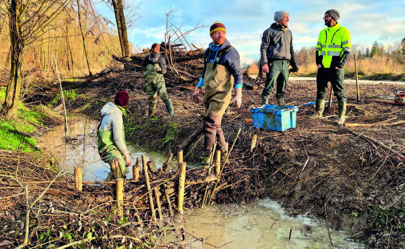 Die Abdichtung der BDA wird meist mit lokal vorhandenem Material wie Ästen, Steinen und Bachsubstrat ausgeführt. Wie beim natürlichen Vorbild sind BDA stets seriell einzubauen. Sind die einfachen Initialstrukturen einmal eingebaut, verändern sie die Gewässerdynamik, schaffen wertvolle Habitate und ermöglichen über die Zeit eine naturnahe Gewässerentwicklung hin zu auentypischen Lebensräumen. 
(©D. Tinner)