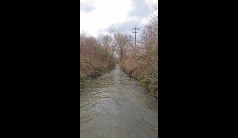 Fig. 1 Beispiel eines eingetieften Gewässers. Mit BDA könnten eigendynamische Prozesse initiiert werden (vgl. Stadium A in Fig. 2). Dadurch könnte der Bach kostengünstig revitalisiert werden. (©S. Minnig)