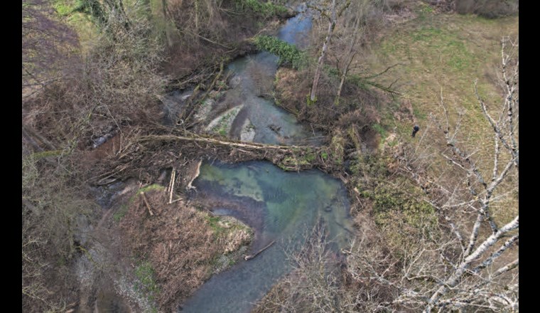 Fig. 4 Biberdammähnliche Effekte (Reduktion der Strömungsgeschwindigkeit, Sohlenanhebung, Wasserrückhalt usw.) entstehen wie im obigen Bild gezeigt auch durch natürliche Totholzansammlungen (vgl. Stadium C, Fig. 2). (©T. Polli)