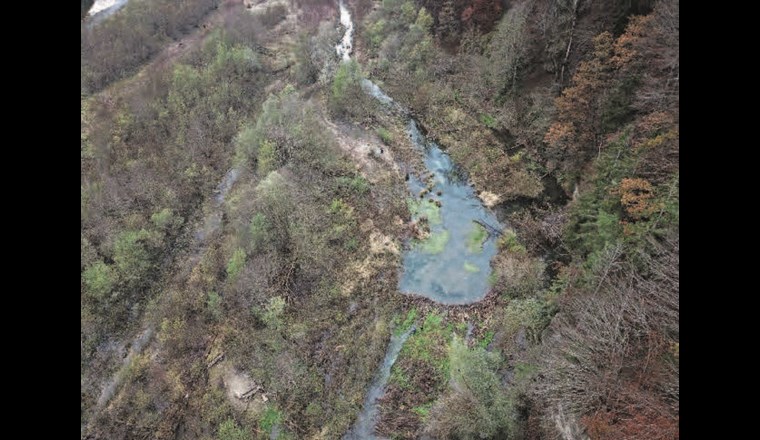 Fig. 5a Durch Biberdämme werden Flächen im Gewässerraum überstaut. Dies führt zu ökologisch hochwertigen, heterogenen und dynamischen Lebensräumen und erhöht die Grundwasserneubildung (vgl. Stadium D, Fig. 2). Bei Hochwasser werden weitere Flächen geflutet, was hilft, Hochwasserspitzen zu brechen. Diese Effekte stellen sich auch durch BDA mit der Zeit automatisch ein. (©T. Polli)