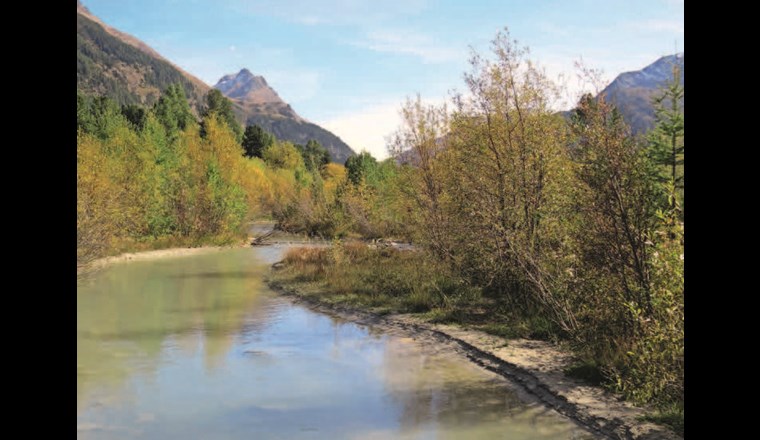 Flaz vegl – der revitalisierte Altast des Flazbaches.