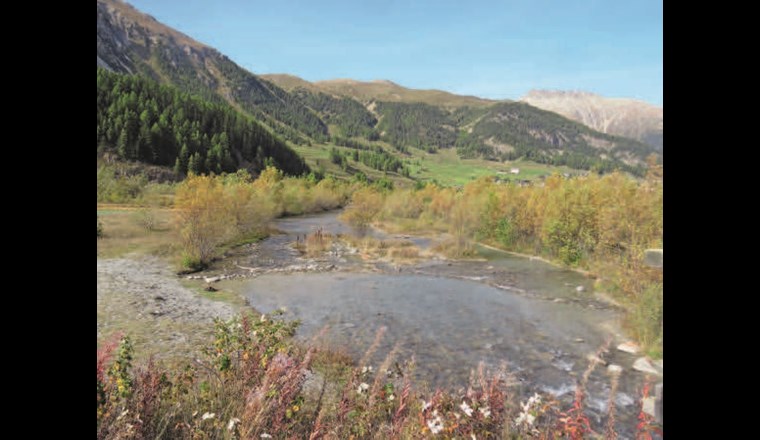 Das aufgewertete alte Bett des Flaz kurz vor der Einmündung in den Inn oberhalb von Samedan.