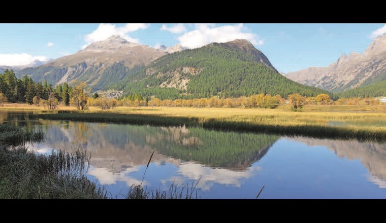 Baggersee Gravatscha - wertvolles, mit Inn vernetztes Stehgewässer.