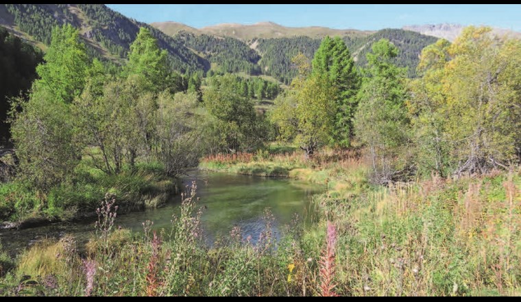 Der wiederbelebte Inn wird auf seiner ganzen Länge von zahlreichen Seitengewässern flankiert.