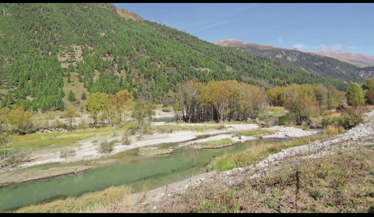 Inn mit Seitengewässer unterhalb von Bever verzahnt.