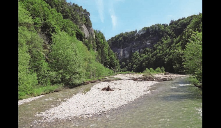 Eine der 64 Gewässerperlen: Die Sense im Naturpark Gantrisch, Kanton Bern. 
(©Wikimedia Commons, René Edward Knupfer-Müller)