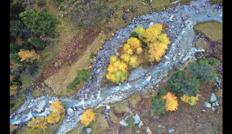 Die Beverin im Oberengadin ist das erste Fliessgewässer, das das Label «Gewässerperle PLUS» erhalten hat. (© Fabian Fopp)