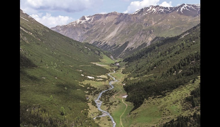 Auch der Bergbach Ova Chamuera trägt das neue Label «Gewässerperle PLUS». Er fliesst durch eines der unberührtesten Gebirgstäler des Oberengadins. (©WWF)