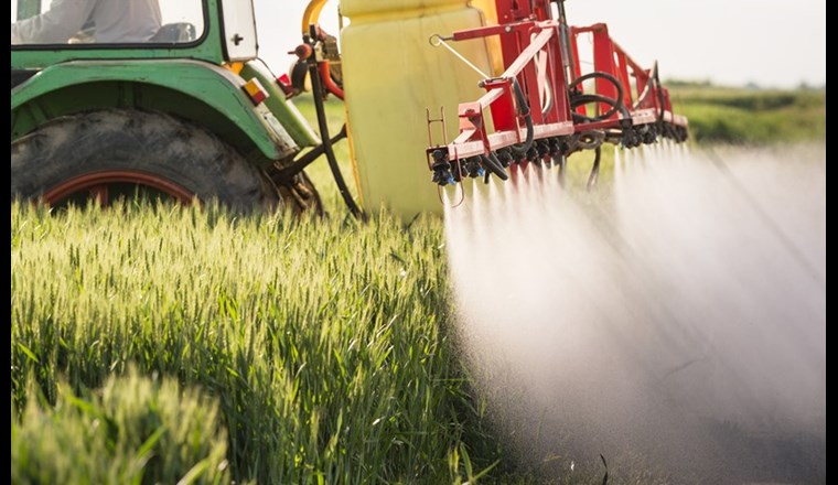 Das 2017 gestartete Berner Pflanzenschutzprojekt kann erste Erfolge verbuchen, was die Belastung von Gewässern durch Pestizide angeht. Messungen bei drei Kläranlagen ergaben einen Rückgang der Wasserbelastung. Dies vor allem dort, wo die meisten landwirtschaftlichen Waschplätze saniert wurden. (© Foto: Kostic/123rf.com)