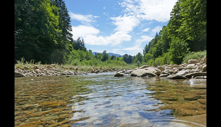 Der Bundesrat hat am Mittwoch die entsprechend angepasste Gewässerschutzverordnung bis zum 10. August in
eine Vernehmlassung gegeben. In der Verordnung werden die Kriterien definiert für die Veranlassung einer solchen Überprüfung. Von der Regelung betroffen sind Pflanzenschutzmittel und auch Biozide. (Bild: ©Schlierner/Adobestock)