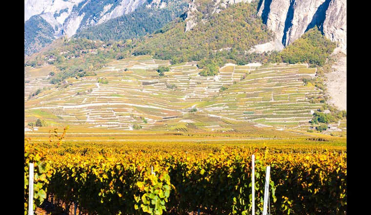 Sur la base des résultats du projet Géothermoval II, le potentiel géothermique de la vallée du Rhône peut être considéré comme élevé pour de futurs projets de moyenne et grande profondeurs en milieux poreux et/ou fracturés, dans une situation où la région est densément peuplée (nombreux utilisateurs potentiels). (Photo: © Richard Semik, Adobe Stock)