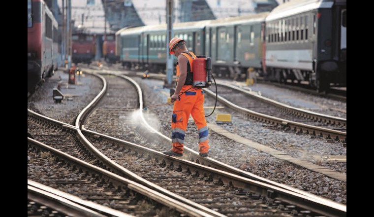 Die SBB gehören zu den Bundesbetrieben, die einen Absenkpfad festgelegt haben für den Einsatz von Pestiziden. (© E. Ammon/BafuMedia)
