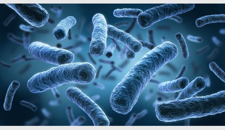 Die Legionellose, auch als Legionärskrankheit bezeichnet, ist eine schwere Lungenentzündung, die durch bestimmte Bakterien der Gattung Legionella ausgelöst wird. (Bild: © peterschreibermedia/123RF.com)