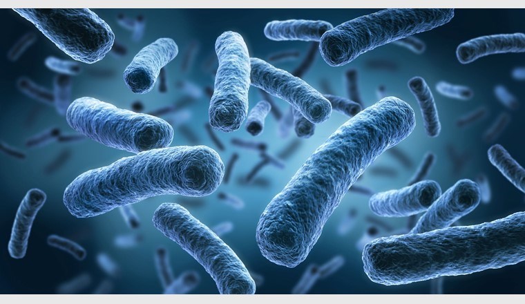 Die Legionellose, auch als Legionärskrankheit bezeichnet, ist eine schwere Lungenentzündung, die durch bestimmte Bakterien der Gattung Legionella ausgelöst wird. (Bild: © peterschreibermedia/123RF.com)