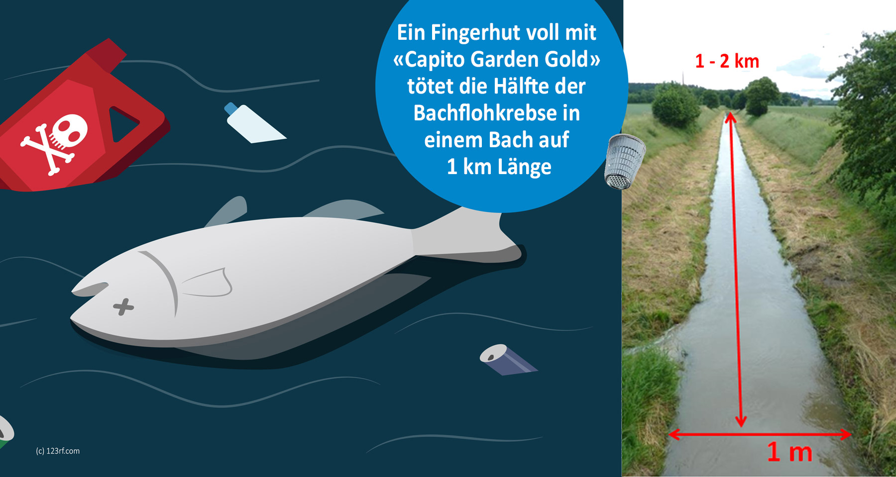 Insektizide sind sehr giftig für Wasserlebewesen. Bereits 1 Fingerhut (10ml) vom Insektizid Cypermethrin tötet die Hälfte der Bachflohkrebse in einem 1-2 km Länge.