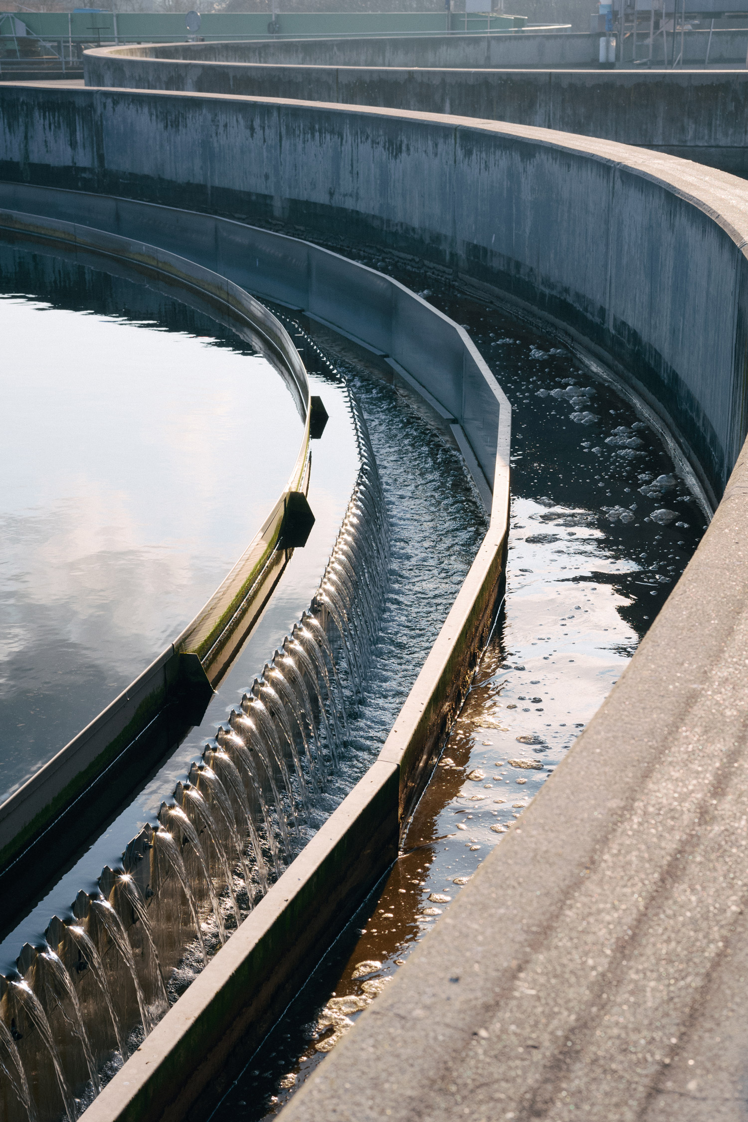 ARA ZASE, Foto (c) Milad/VSA.