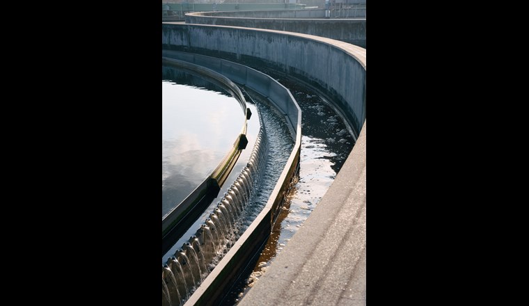 ARA ZASE, Foto (c) Milad/VSA.