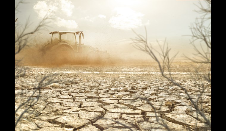 Der Bundesrat hat nun den drei zuständigen Bundesämtern für Umwelt BAFU, Meteorologie und Klimatologie MeteoSchweiz und Landestopografie swisstopo den Auftrag erteilt, bis 2025 ein nationales Früherkennungs- und Warnsystem zur Trockenheit aufzubauen. (Bild: ©m.mphoto / adobestock)