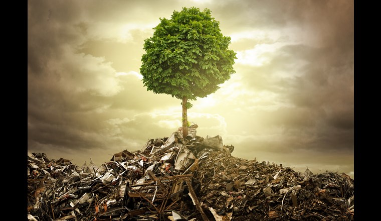 Chemische Substanzen und gefährliche Abfälle können für Mensch, Umwelt und das Klima Risiken beinhalten. (Bild: ©lassedesignen / adobestock)