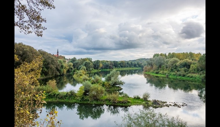Trinkwasser und Oberflächengewässer sollen besser vor Pestiziden geschützt werden. (Bild: ©Manfred/adobestock)