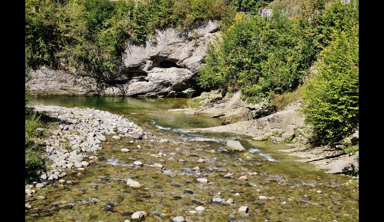 Drei Mitglieder der St. Galler Regierung haben Massnahmen zum Schutz der Gewässer vor Chemikalien angekündigt. (Bild: ©F.Gerhard/adobestock)