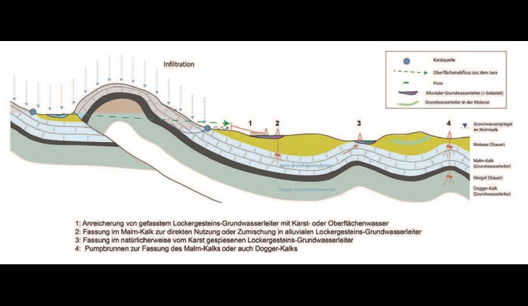 Fig. 1 Skizze der hydrogeologischen Situation an der Grenze zwischen Jura und Mittelland mit Infiltration (Grundwasserneubildung) im Jura und potenzieller Nutzung der Karst-Grundwasserleiter am Jura-Südfuss.