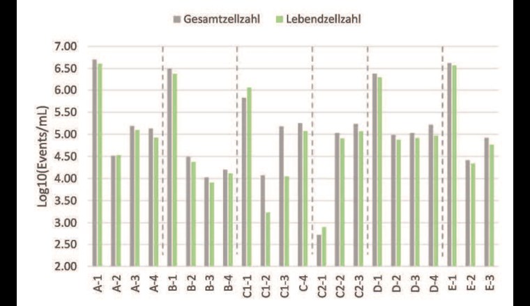 Fig. 2 Gesamtzellzahl (SYBR-Green-Methode) und Lebendzellzahl (Propidium-Iodid-Methode) in den untersuchten Wasserproben. Für jeden Standort sind die Proben von links nach rechts in der Reihenfolge Rohwasser zu Netzwasser sortiert; für die genaue Zuordnung siehe Tabelle 1.