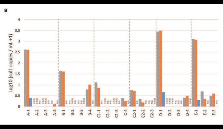 Fig. 3 Häufigkeit (logarithmiert) (B) des Sulfonamid-Resistenzgens sul1 in den Wasserproben und ihren Zellfraktionen.
Tot: Gesamtfraktion (0,2-µm-Filter direkt), HNA: HNA-Fraktion (0,45-µm-Filter direkt), LNA: LNA-Fraktion (0,2-µm-Filter nach 0,45-µm-Filtration). N.D: nicht detektiert, D.N.Q: detektiert, nicht quantifizierbar