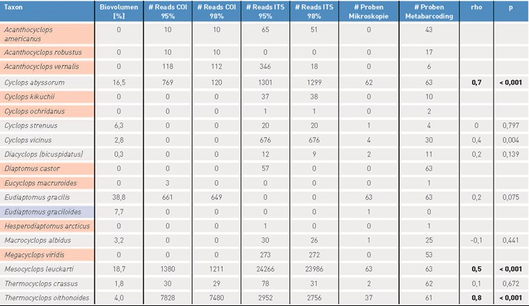 Tab. 1 Ergebnis des Metabarcoding-Verfahrens für die Cladoceren. Blau hervorgehoben sind Taxa, die nur mikroskopisch bestimmt wurden, und rot solche, die nur genetisch erfasst wurden. Für jedes Taxon sind sowohl das über alle Kampagnen gemittelte relative Biovolumen und die über alle Kampagnen gemittelte Anzahl der Reads (d. h. der klassifizierten Sequenzen) für die beiden Markergene bei einer Übereinstimmung von mindestens 95% bzw. 98% mit der Referenzsequenz angeben. Ausserdem ist für jedes Taxon festgehalten, in wie vielen der insgesamt 63 Proben es durch das lichtmikroskopische bzw. molekularbiologische Verfahren detektiert wurde, sowie das Ergebnis der Rangkorrelationsanalyse nach Spearman zwischen der Anzahl der detektierten Reads (Summe der COI- und ITS-Reads bei Übereinstimmung von mind. 95%) und dem taxonspezifischen Biovolumen (N = 63).