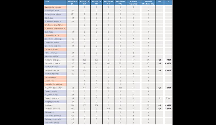 Tab. 3 Ergebnis des Metabarcoding-Verfahrens für die Rotiferen. Blau hervorgehoben sind Taxa, die nur mikroskopisch bestimmt wurden, und rot solche, die nur genetisch erfasst wurden. Für jedes Taxon sind sowohl das über alle Kampagnen gemittelte relative Biovolumen und die über alle Kampagnen gemittelte Anzahl der Reads (d. h. der klassifizierten Sequenzen) für die beiden Markergene bei einer Übereinstimmung von mindestens 95% bzw. 98% mit der Referenzsequenz angeben. Ausserdem ist für jedes Taxon festgehalten, in wie vielen der insgesamt 63 Proben es durch das lichtmikroskopische bzw. molekularbiologische Verfahren detektiert wurde, sowie das Ergebnis der Rangkorrelationsanalyse nach Spearman zwischen der Anzahl der detektierten Reads (Summe der COI- und ITS-Reads bei Übereinstimmung von mind. 95%) und dem taxonspezifischen Biovolumen (N = 63).