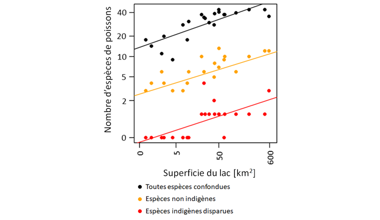 Fig. 1 Korrelation zwischen Artenreichtum und Grösse der Seen im Rheineinzugsgebiet. Berücksichtigt wurden alle im Rahmen des «Projet Lac» gefangenen Fischarten und die zuvor im See nachgewiesenen Arten, die im Rahmen des «Projet Lac» nicht gefangen wurden. Beide Achsen sind in logarithmischen Skalen dargestellt.