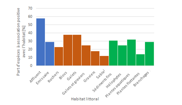 Fig. 5 Darstellung des Anteils der Fischarten, die im Durchschnitt aller Seen eine positive Assoziation zu den einzelnen Uferhabitaten aufweisen. Ein hoher Wert zeigt an, dass besonders viele Arten eine positive Assoziation zu diesem Habitat aufweisen. Ein niedriger Wert zeigt an, dass weniger Fischarten diesen Lebensraum bevorzugen (Grafik erstellt anhand der Daten der Tabelle 10 aus [1]).
