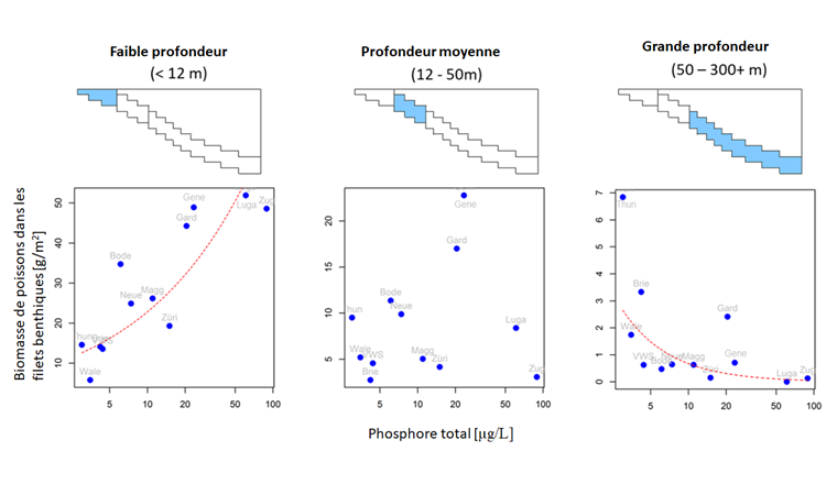 Fig. 8 Zusammenhang zwischen in benthischen Kiemennetzen gefangener Fischbiomasse und dem Nährstoffgehalt der Seen. Der Zusammenhang ist dargestellt für drei Tiefenbereiche der untersuchten Gewässer. Die Zusammenhänge, die eine rote gestrichelte Regressionslinie aufweisen, sind signifikant (p < 0,05).