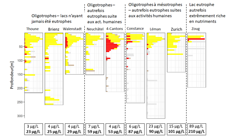 Fig. 8 Zusammenhang zwischen in benthischen Kiemennetzen gefangener Fischbiomasse und dem Nährstoffgehalt der Seen. Der Zusammenhang ist dargestellt für drei Tiefenbereiche der untersuchten Gewässer. Die Zusammenhänge, die eine rote gestrichelte Regressionslinie aufweisen, sind signifikant (p < 0,05).