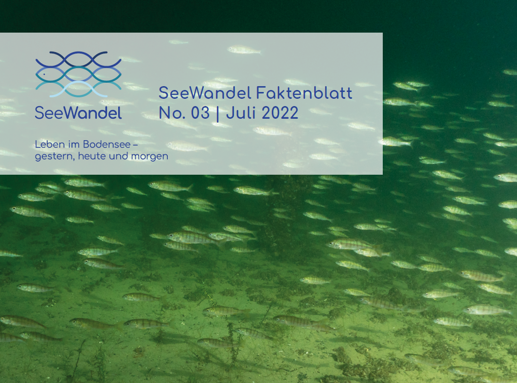 Bild: Robert Hansen, SeeWandel Faktenblatt N° 3.