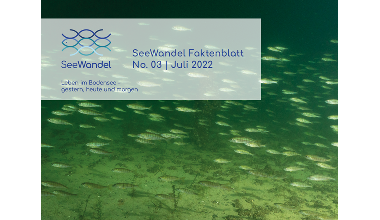 Bild: Robert Hansen, SeeWandel Faktenblatt N° 3.