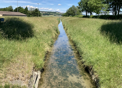 Bild: Paul Sicher/VSA