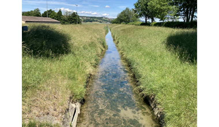 Bild: Paul Sicher/VSA