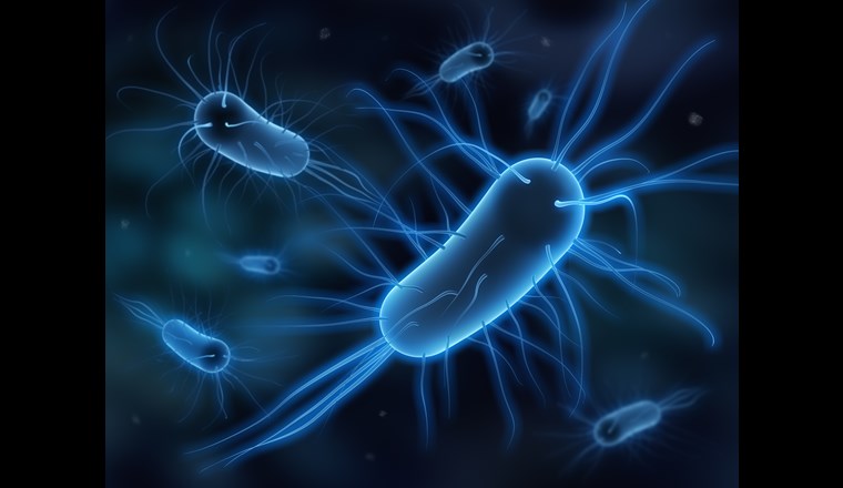 Das Enzym mit der Bezeichnung HDCR bildet aus gasförmigem Wasserstoff (H₂) und Kohlendioxid (CO₂) Ameisensäure. (Bild: ©p.schreiber.media/adobestock).