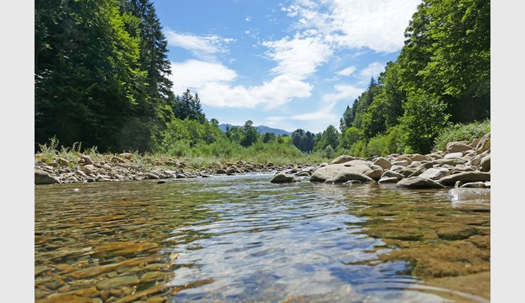 Le 31 août 2022, la SSIGE organise au Palais des Congrès de Bienne une journée technique au sujet de la protection des ressources. (Photo: ©Schlierner/adobestock)
