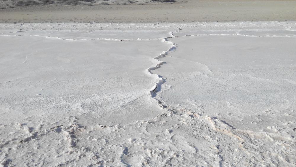 Ein salzhaltiger Teich in den "Monegros", im Ebro-Tal, Aragón, Katalonien. (Bild: ©David Cunillera Montcusi