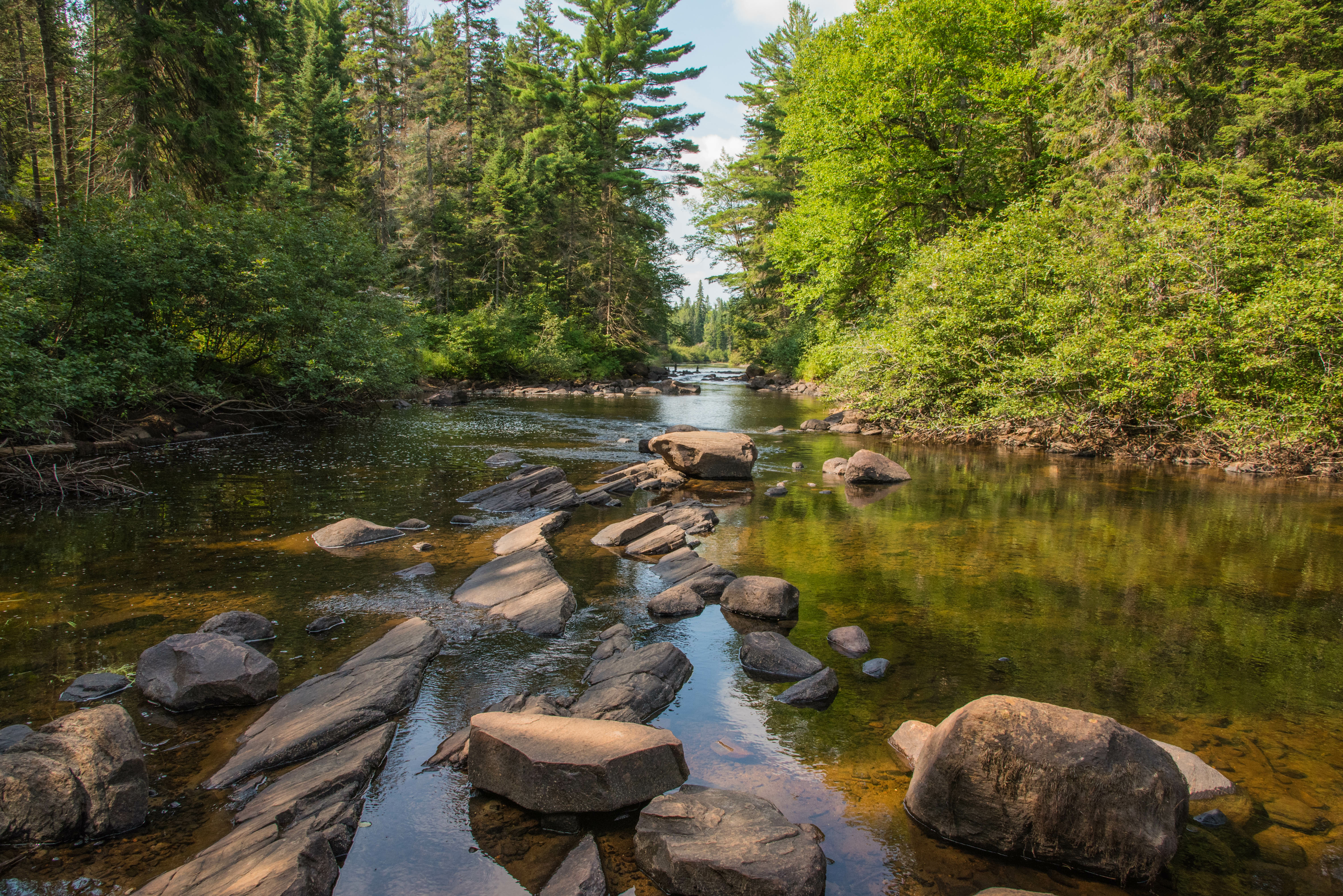 In den kleineren und mittelgrossen Flüssen der Schweiz herrscht besonders im Mittelland und im Südtessin eine Niedrigwassersituation, die statistisch gesehen nur alle zwei bis sogar zwanzig Jahre vorkommt. (Bild: ©driendl/adobestock)