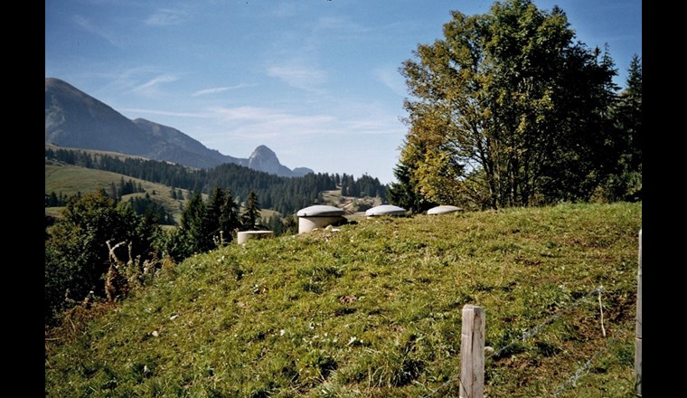 Die angepasste GSchV soll im Jahr 2023 in Kraft treten. Im Rahmen der politischen Interessenvertretung wird die Geschäftsstelle die Umsetzung der vorgeschlagenen Anpassungen verfolgen.  (Bild: ©SVGW)