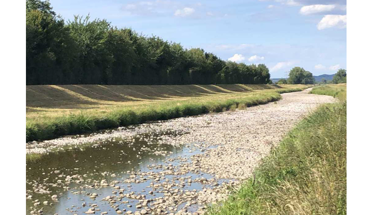 Die ausgetrocknete Dreisam, westlich von Freiburg. Das Wasser ist den sinkenden Grundwasserständen gefolgt und im Untergrund versickert. (Bild: ©Universität Koblenz-Landau / Hans Jürgen Hahn)